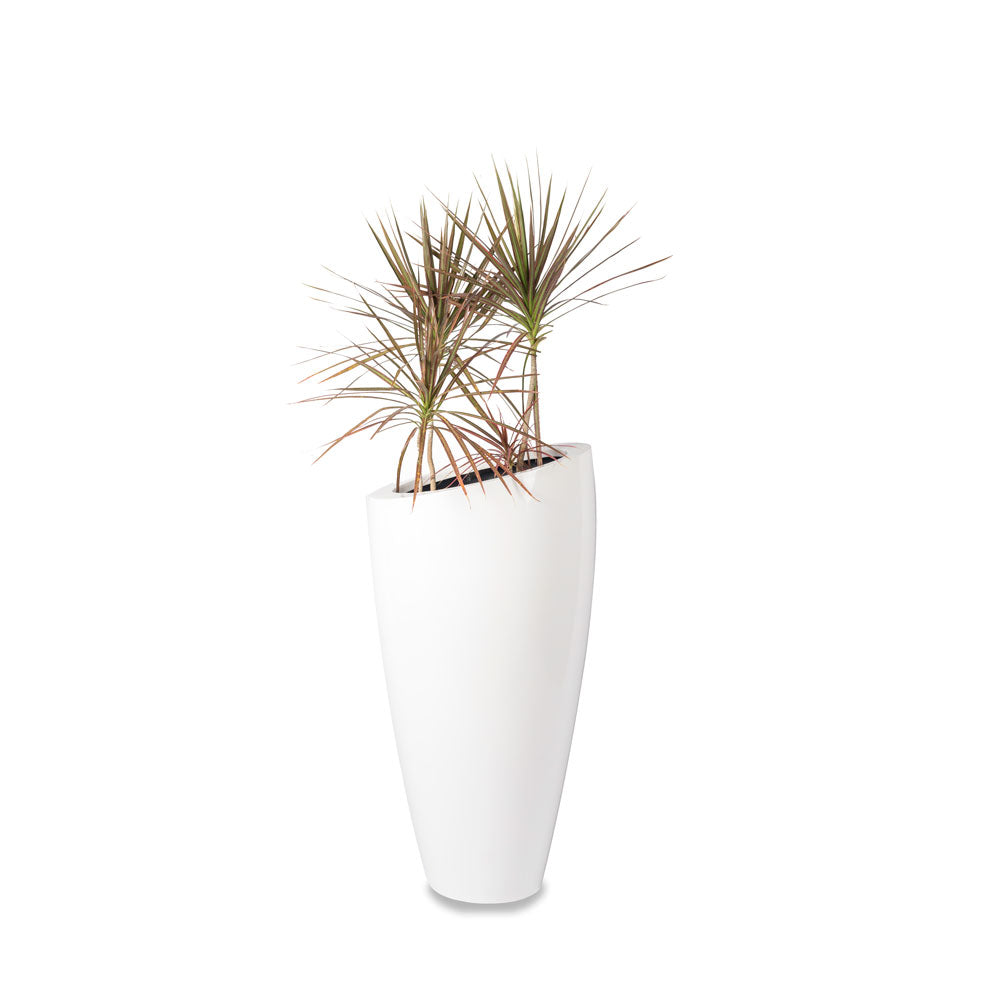 Woobly Planter - Studio Palasa