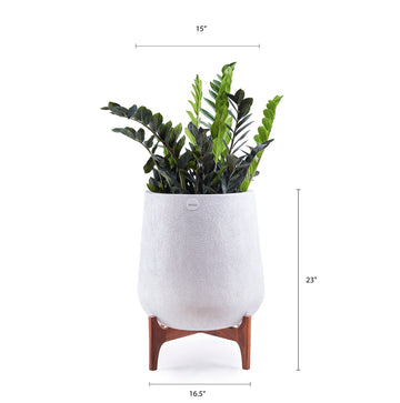 Aquila Medium Planter with Wooden Stand