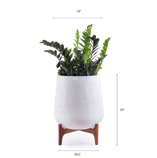 The Aquila Medium Planter with AQ Wooden Stand offers a modern and mid-century design to spruce up any home or office space. This sophisticated fiberglass planter is ideal in adding a touch of luxury to your hallway, bedroom, or common spaces. 