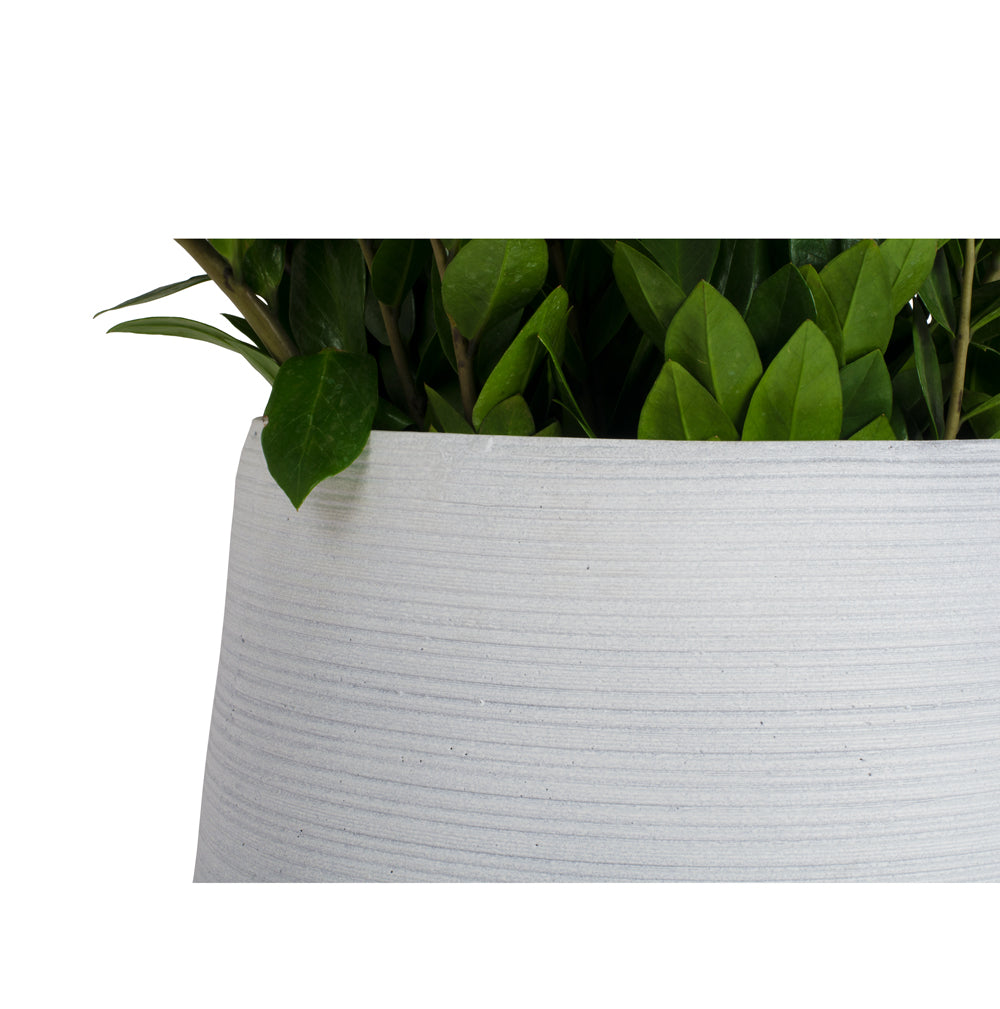 The Oracle Planter - Studio Palasa