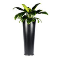 Falcon Planter - Studio Palasa