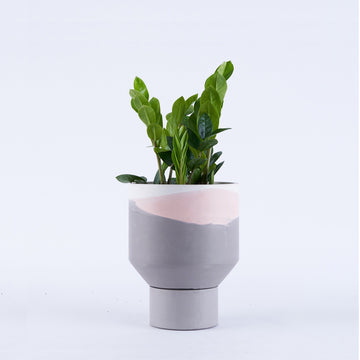Funnel Desk Planter