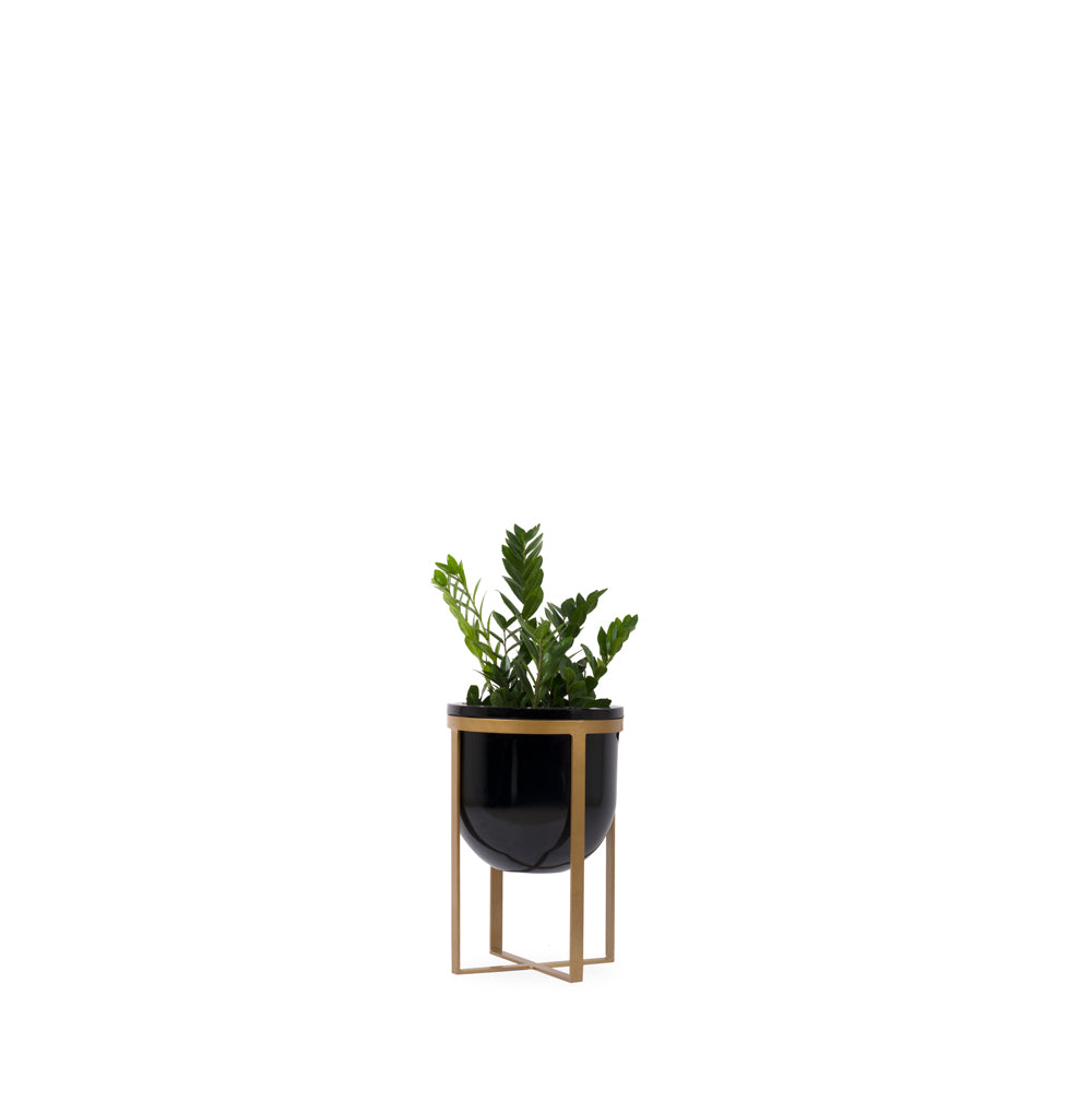 Lipto Planter Black - Studio Palasa