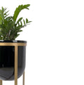 Lipto Planter Black - Studio Palasa