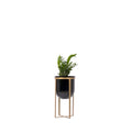 Lipto Planter Black - Studio Palasa