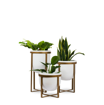 Lipto Planter White