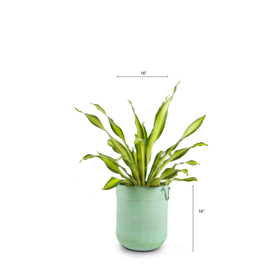 Malabar Metal Planter