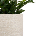 The GRC Marley Planter by Studio Palasa. This concrete large Planter pot has a raw textured look that works in any home or garden. Long planter with a beautiful dual tone finish.