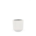 The Milkyway FRP Circular Planter has a modern design and neutral hue. Crafted by hand this premium FRP indoor and outdoor planter pot works well in blending indoor and outdoor spaces. 