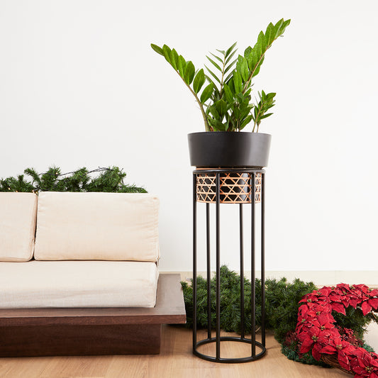 Topha Cane Metal Planter