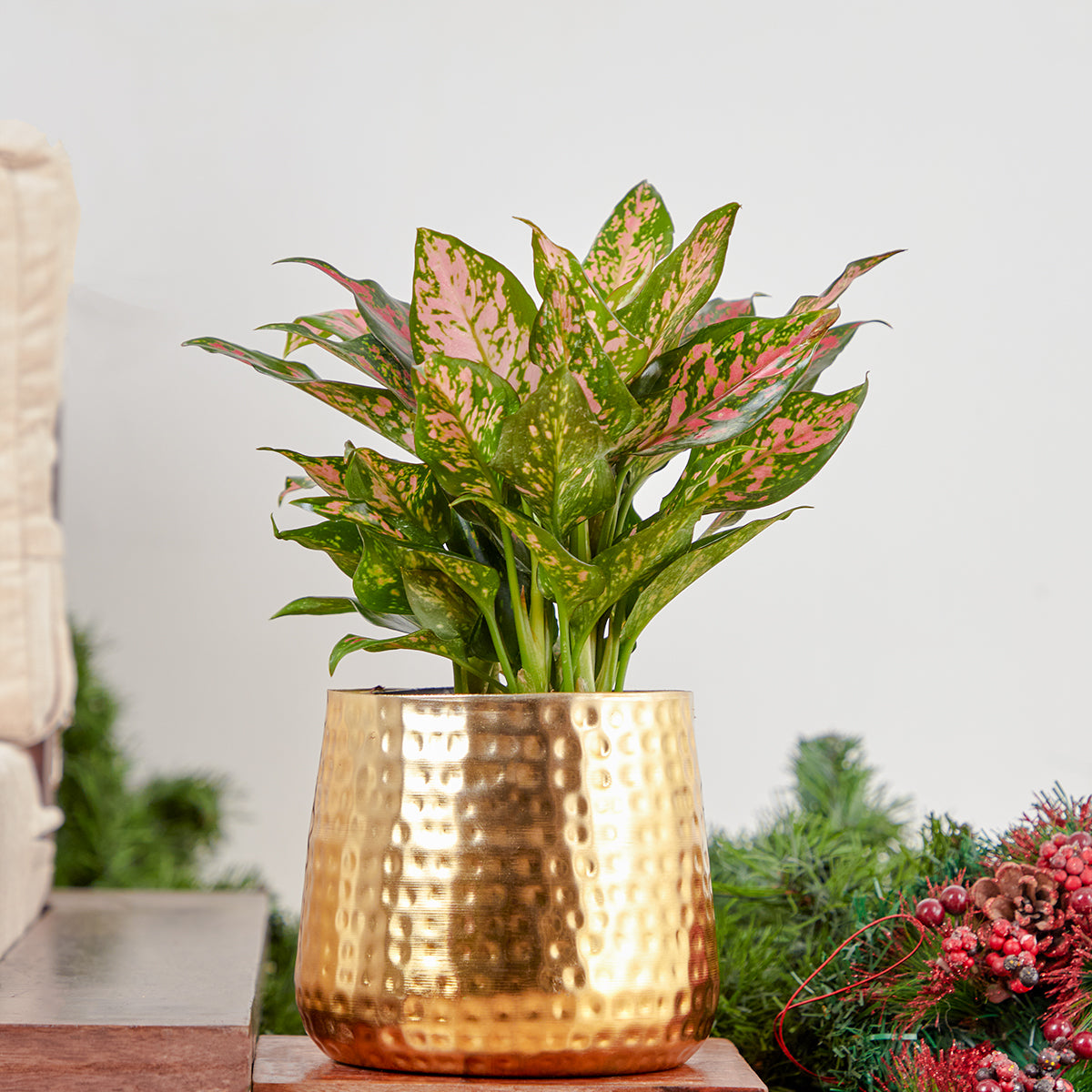 Buy the Eden Gold Desk Planter online India. Desk gold planter that is small and fuss free.