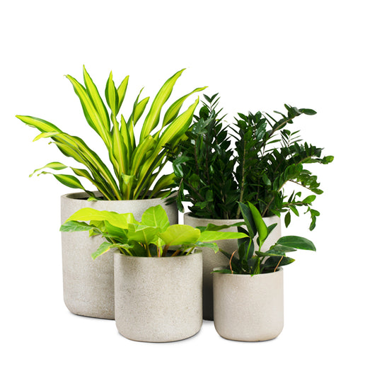 Roman GRC Concrete Planter