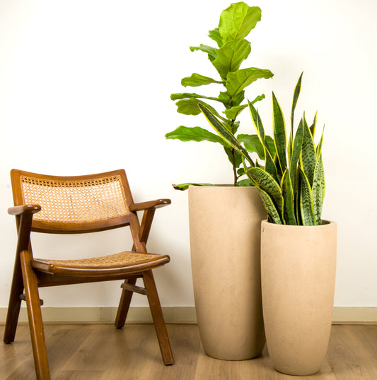 Saturn Planter Sandal Paste - Studio Palasa