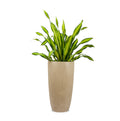 Saturn Circular FRP Planter, perfect for decorating any corner of your home. This sleek yet lightweight round planter comes in many colours, making it a great choice for smaller homes and balconies. Easily rearrange it to match any style.